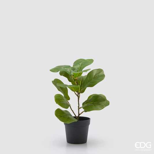 EDG - Ficus Lyrata H 32cm Artificiale