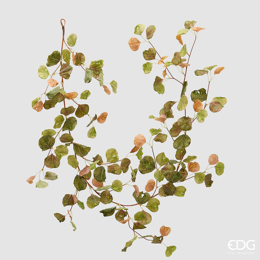 EDG - Festone Pilea  Peperomioides  h 160cm