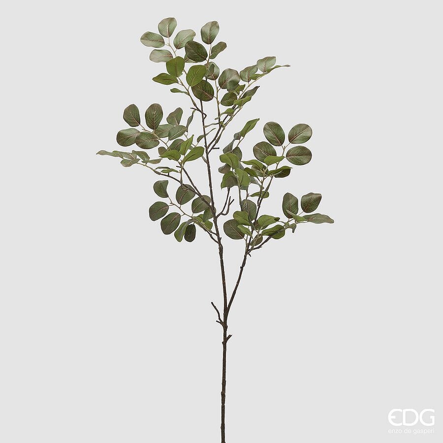 EDG - Ramo Ficus Padana H 90cm