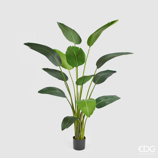 EDG - Pianta Artificiale Strelitzia con Vaso H180 cm
