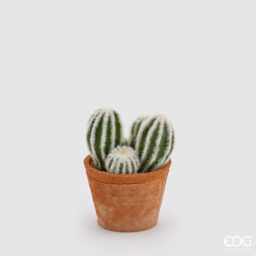 EDG - Cactus Mix Con Sottovaso H 19