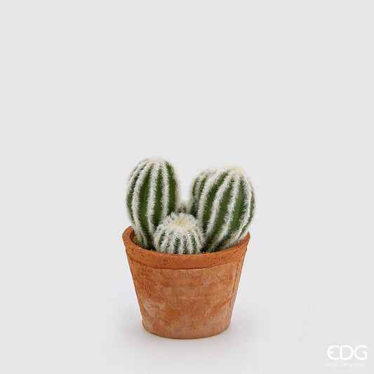 EDG - Cactus Mix Con Sottovaso H 19