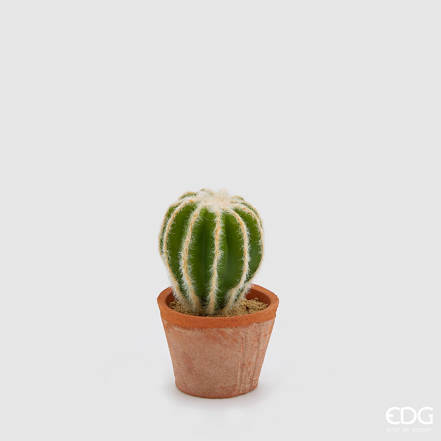 EDG - Cactus Mix Con Sottovaso H 16