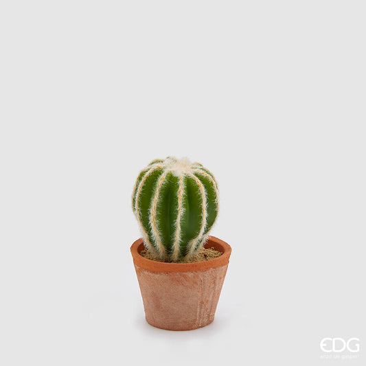 EDG - Cactus Mix Con Sottovaso H 16