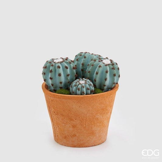 EDG - Cactus Mix Con Sottovaso H 21CM
