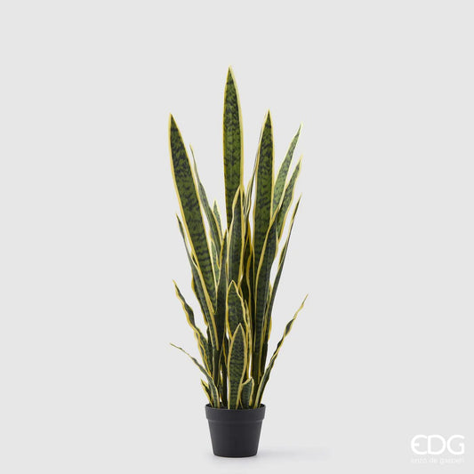 EDG - Sanseveria West Artificiale H 105cm