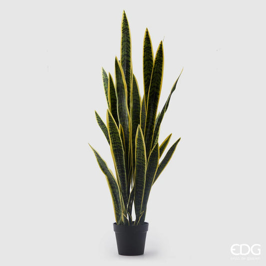 EDG - Sanseveria West Artificiale H 140cm