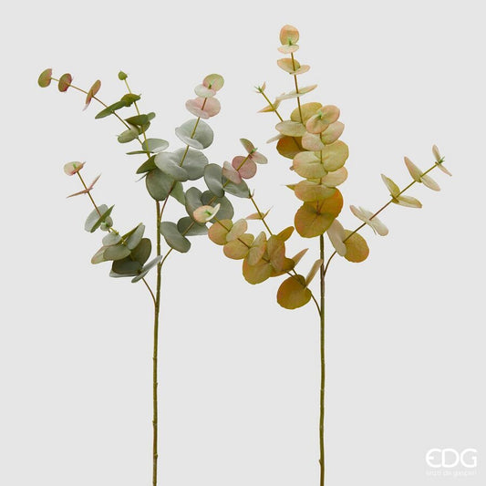 EDG - Ramo Eucalipto Green Assortito H 87cm