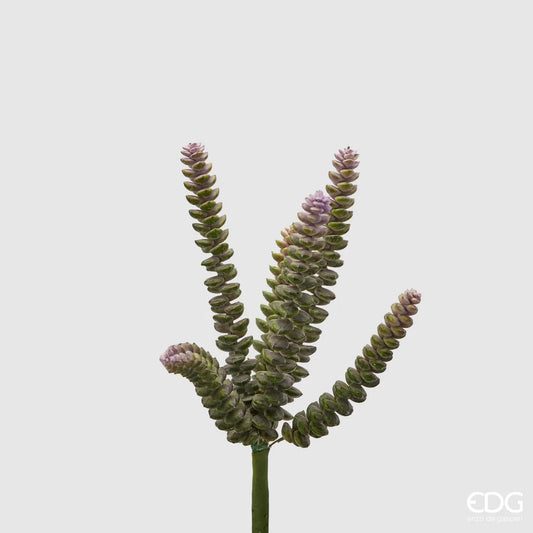 EDG - Ramo Artificiale Crassula H 28cm