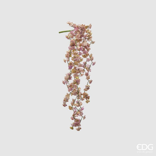 EDG - Cespuglio Cadente Echeveira Verde H44cm Mix Rosa