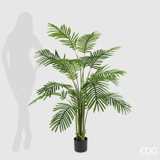 EDG - Pianta Areca Artificiale H 150cm