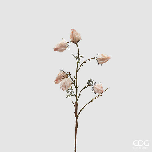 EDG - Alchechengi Ramo Decorativo H70 cm Assortito