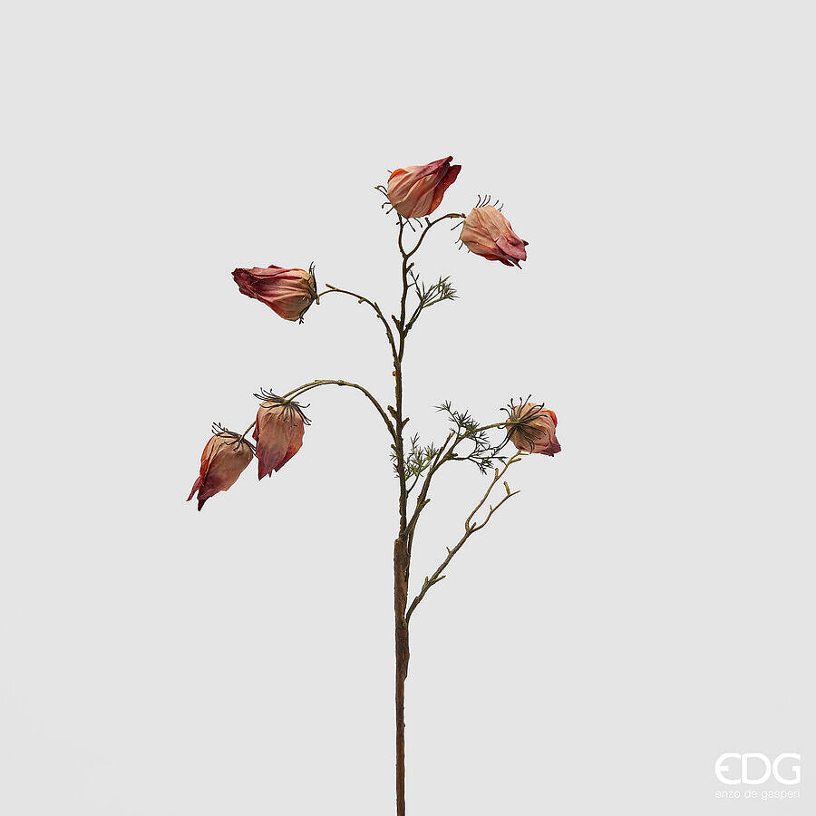 EDG - Alchechengi Ramo Decorativo H70 cm Assortito