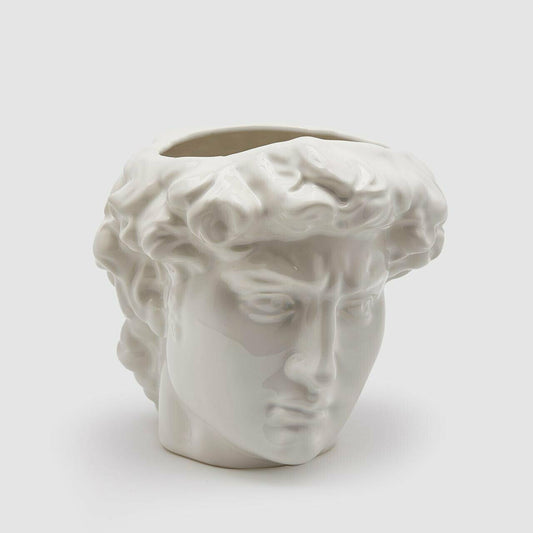 Garden Foggia - Vaso Testa David