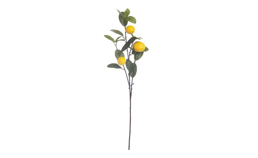 Garden Foggia - Ramo Limoni H 75cm