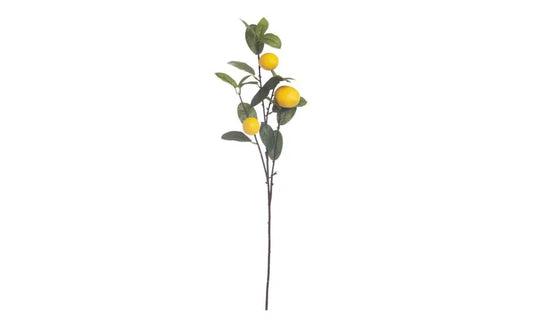 Garden Foggia - Ramo Limoni H 75cm