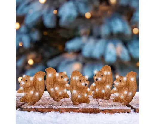 Garden Foggia - Box 5 Scoiattoli Led