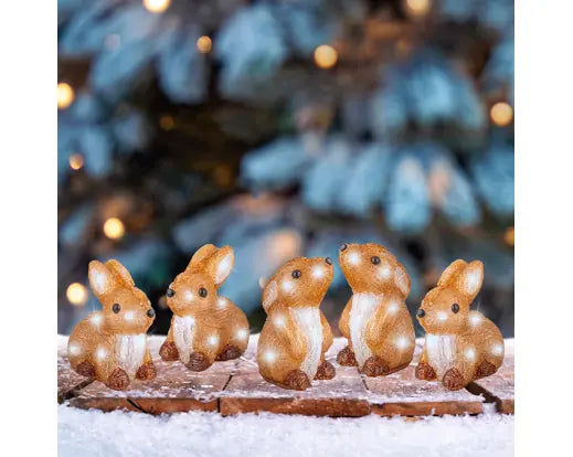 Garden Foggia - Box 5 Conigli Led H 14cm