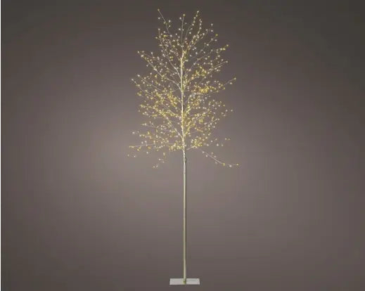 Garden Foggia - Faggio Led H 180cm D 70 cm Gold luce calda