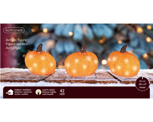 Garden Foggia - Festone Zucche Led