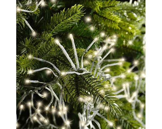 Garden Foggia - Luci Cluster 14 metri Luce calda Cavo Trasparente