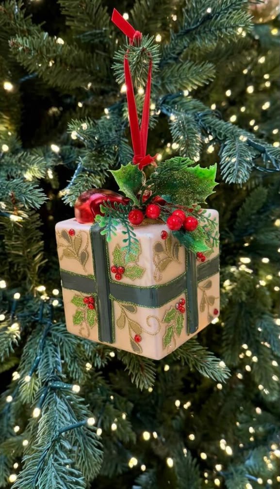 Garden Foggia - Pacco Regalo con Bacche