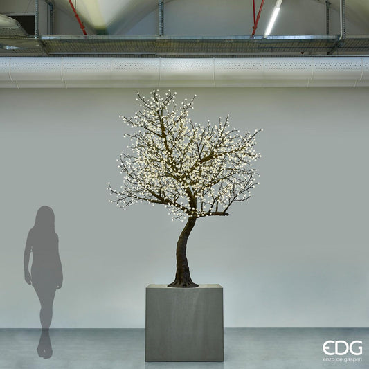 EDG - Melo Fiorito Led 280cm 220 led