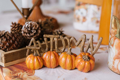 Nuvole di Stoffa- Zucche Autumn