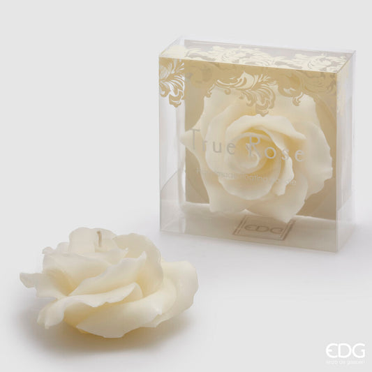 EDG - Candela Rosa D 11cm Ivory