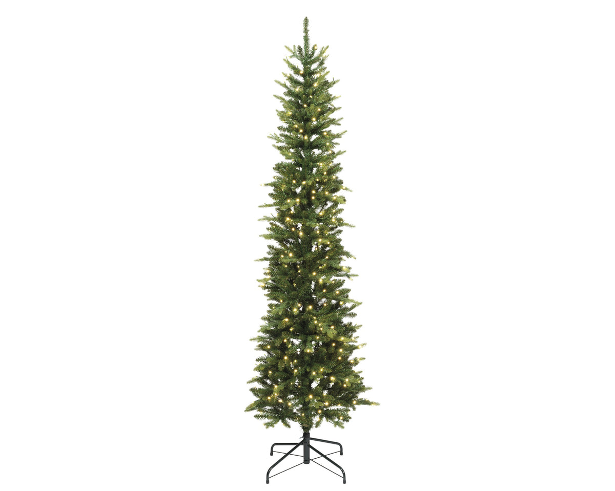 Garden Foggia - Albero Marmolada Preilluminato