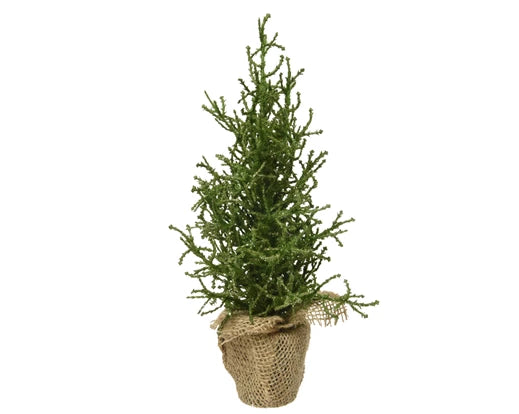 Jardin Foggia - Arbre Artificiel H 30