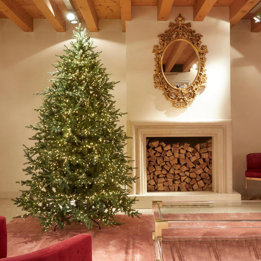 EDG - Albero di Natale Pino Luxury 240 cm con 5000 mini led D152