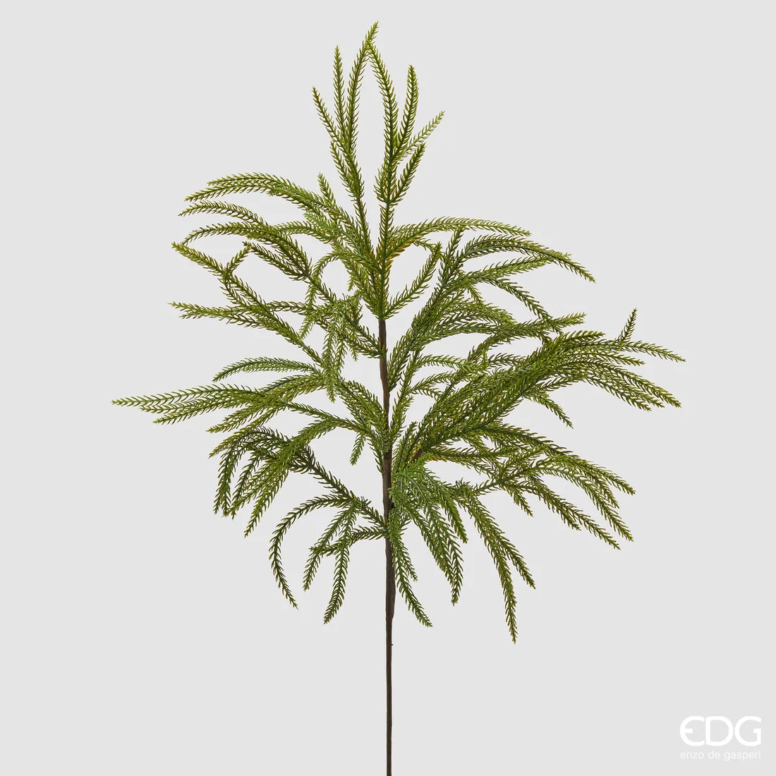 EDG - Ramo di Criptomeria H85 cm