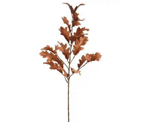 Garden Foggia - Ramo Quercia Brown H 77cm