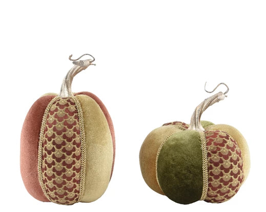 Garden Foggia - Zucca In Velluto Fantasia