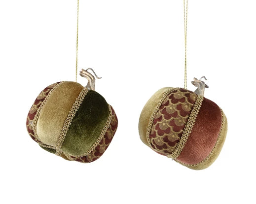 Garden Foggia - Zucca Velluto Fantasia da Appendere