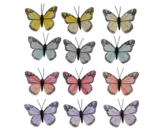Garden Foggia - Farfalle Colorate