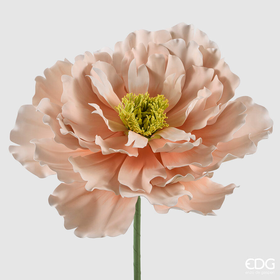 EDG - Peonia Jumbo H 70cm Cream