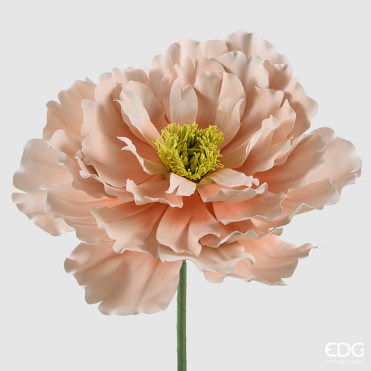 EDG - Peonia Jumbo H 70cm Cream
