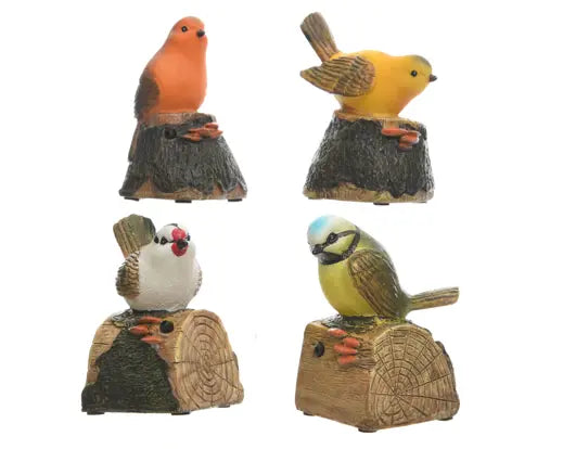 Garden Foggia - Uccellino Con Canto Assoritito