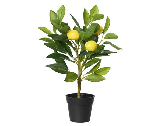 Garden Foggia - Piantina Limoni Artificiale H 43cm
