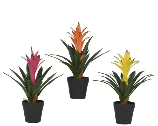 Garden Foggia - Bromelia Artificiale in Vaso