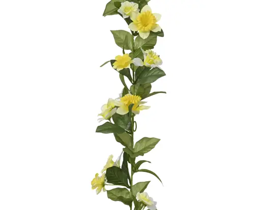 Garden Foggia - Festone Narcisi Mix Yellow