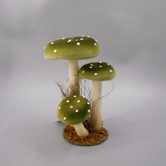 Garden Foggia - Gruppo Funghi Velluto