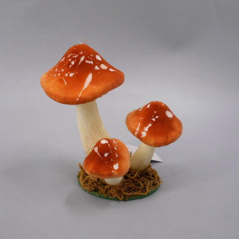 Garden Foggia - Gruppo Funghi Arancio