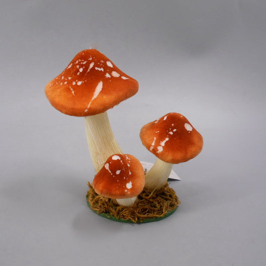 Garden Foggia - Gruppo Funghi Arancio