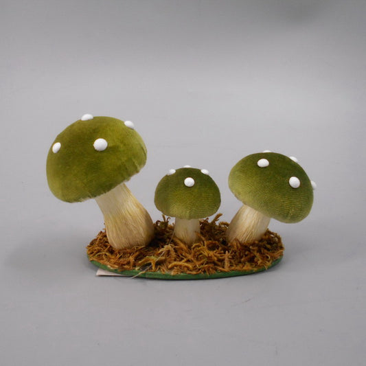 Garden Foggia - Gruppo Funghi Verde