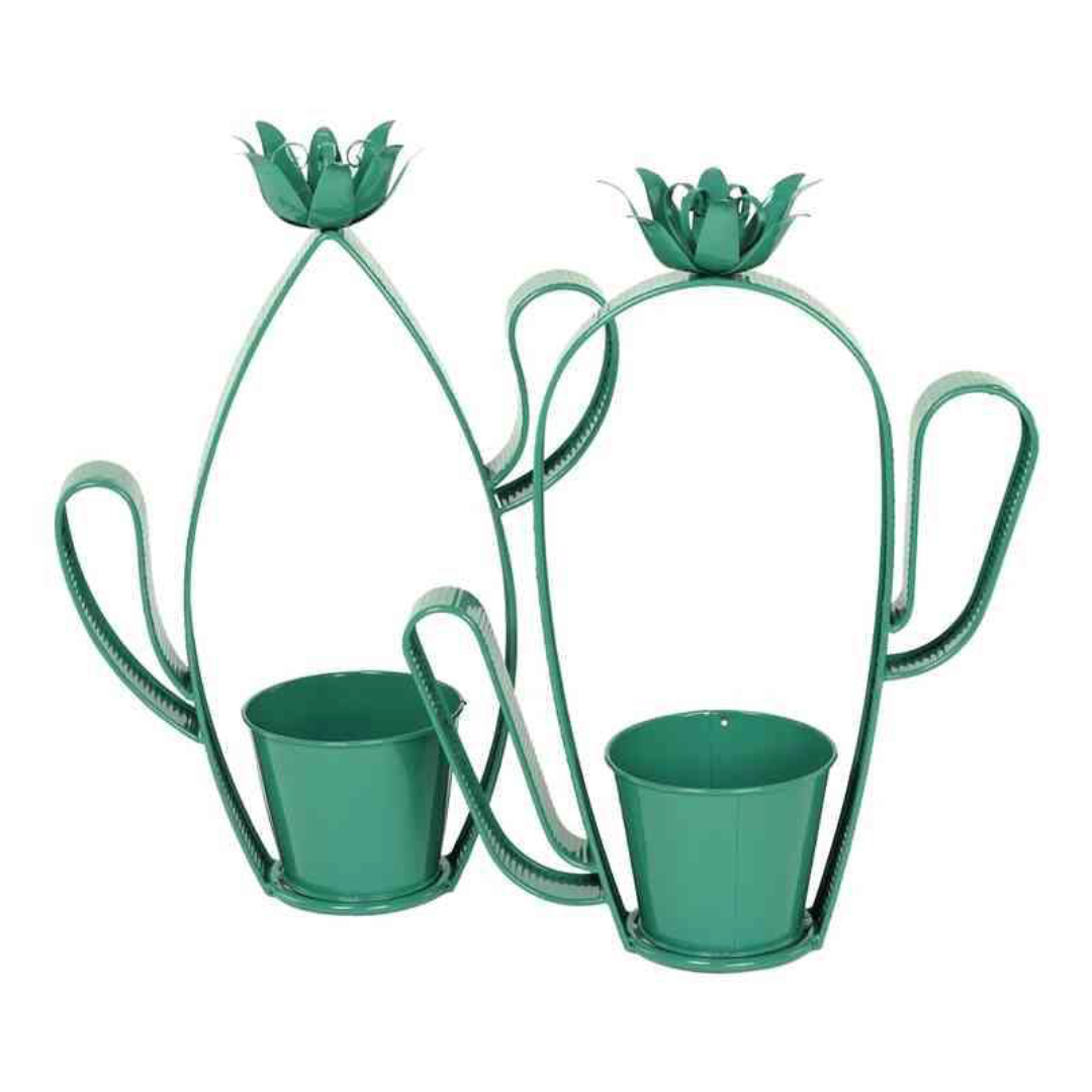 Garden Foggia - Assorted Cactus Container