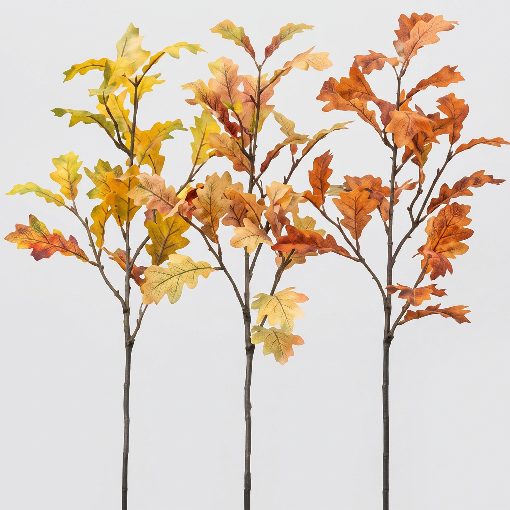 EDG - Ramo Quercia Assortito H 80cm