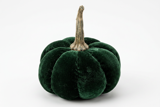 Garden Foggia - Decoro Zucca Verde Piccola
